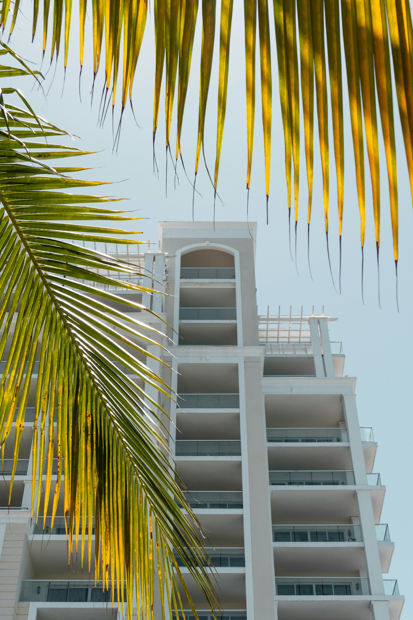Modern Caribbean apartment building with palm fronds
