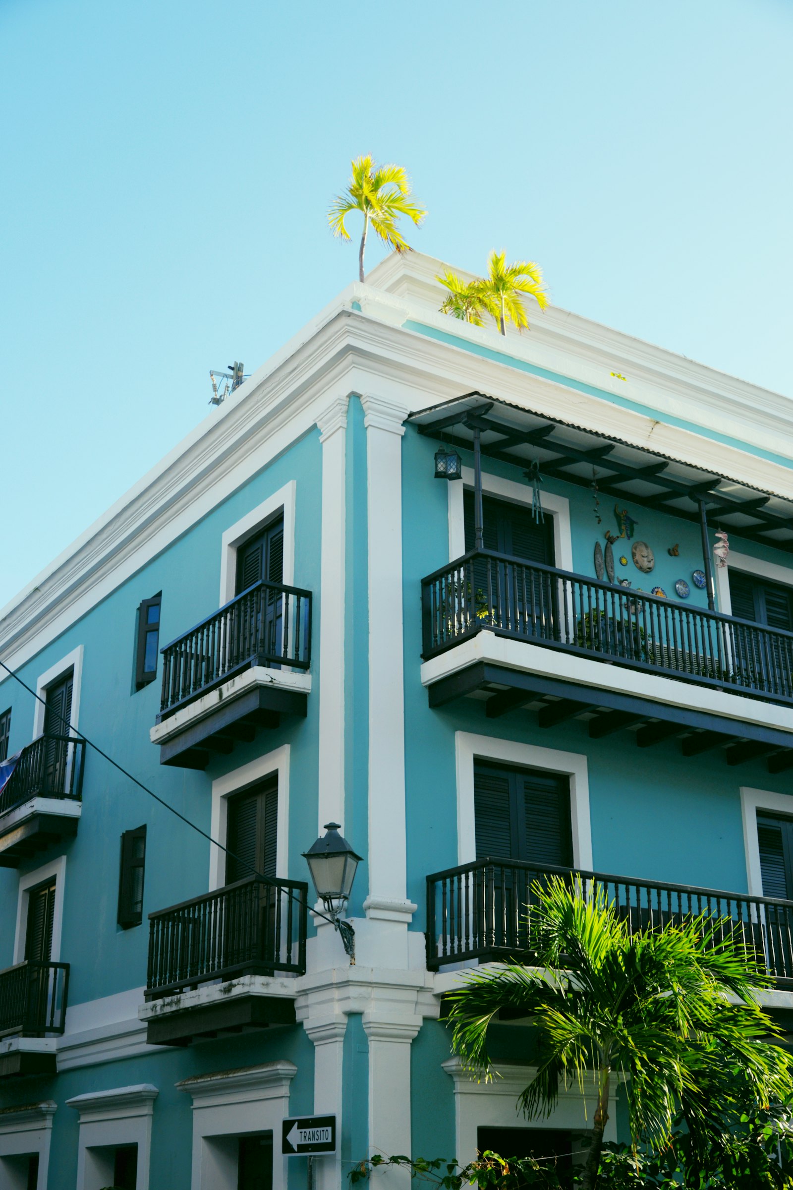 Caribbean residential building with palm trees and balconies